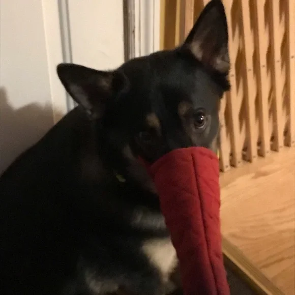 Offers‎ Welcome - Picture 9 of 10